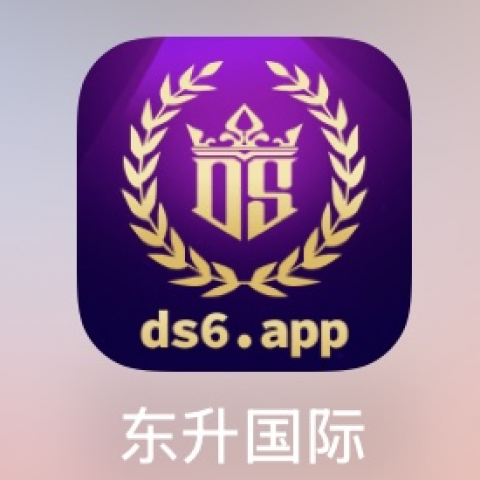 东升国际